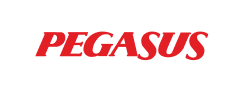 pegasus